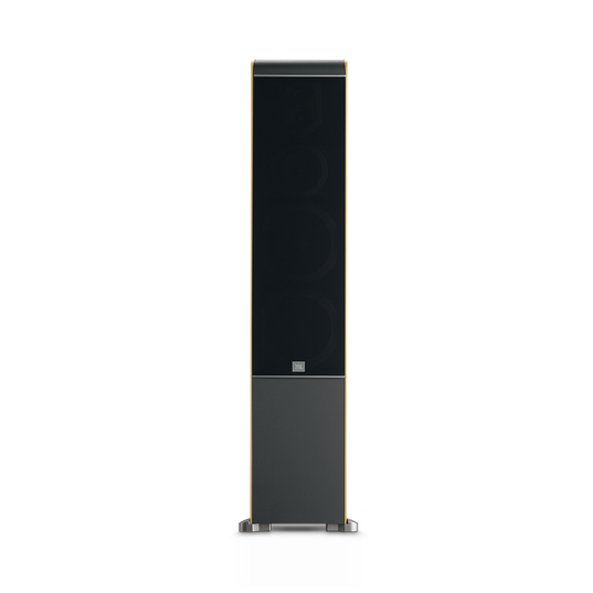 ES 80 - Beech - Dual 6-1/2 inch 4-Way Floorstanding - Detailshot 2