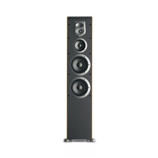 ES 80 - Beech - Dual 6-1/2 inch 4-Way Floorstanding - Detailshot 3